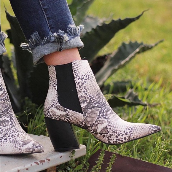 Snake print booties - Picture 2 of 8